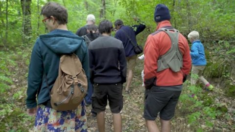 Impossible de lire la video